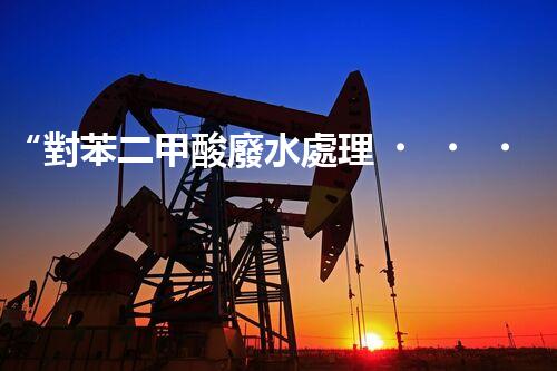 “對苯二甲酸廢水處理，綠色創(chuàng)新引領環(huán)保新篇章”